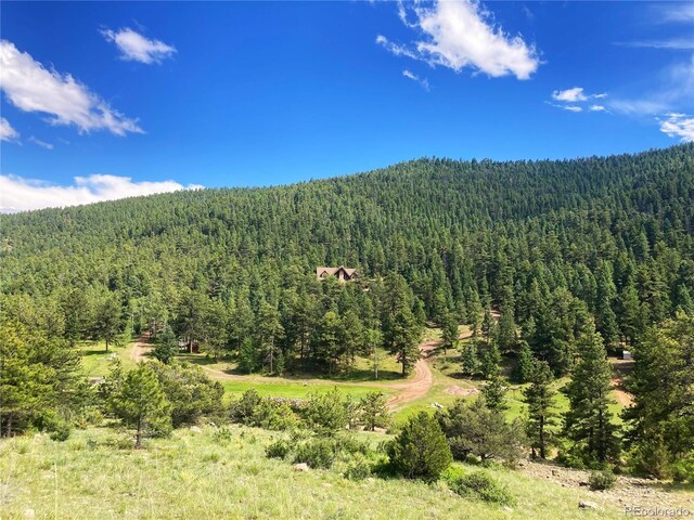 6101 Tallahassee Trl, Canon City, CO 81212 - photo 32