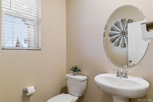 1262 High Point Trl, Elizabeth, CO 80107 - photo 20
