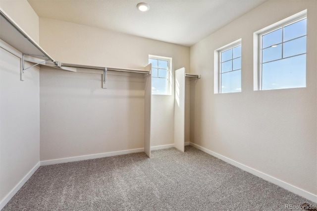 spacious closet with carpet flooring