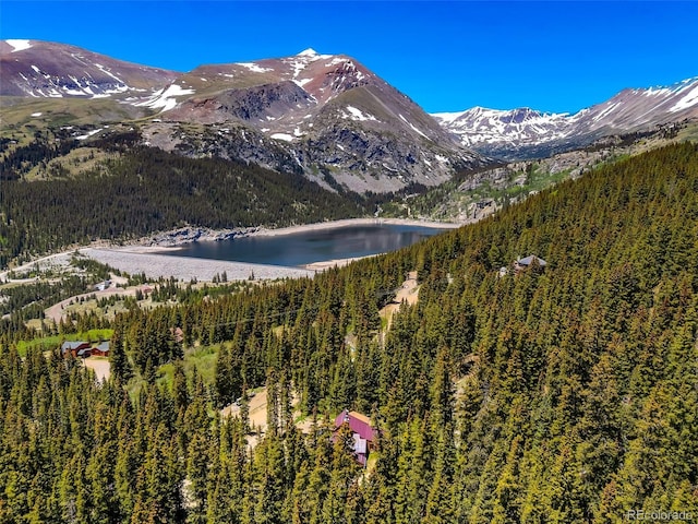 60 Jackson, Alma, CO 80420 - view of mountain backdrop with a nearby body of water and a heavily wooded area