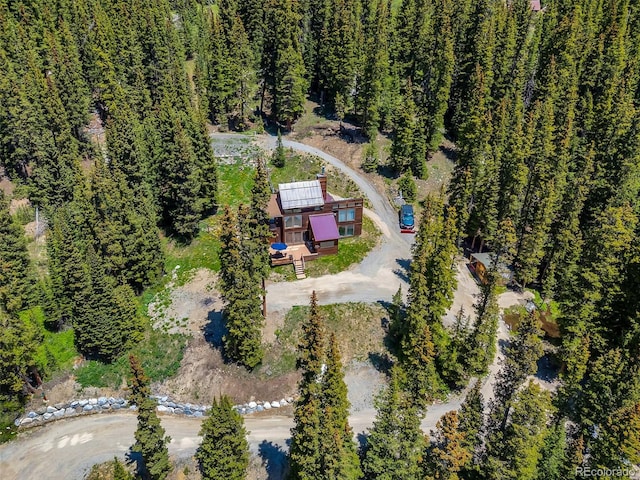 60 Jackson, Alma, CO 80420 - view from above of property