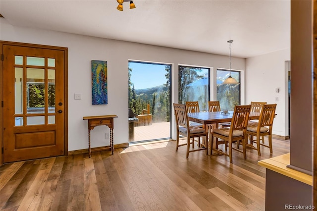 60 Jackson, Alma, CO 80420 - dining space featuring light wood-style flooring