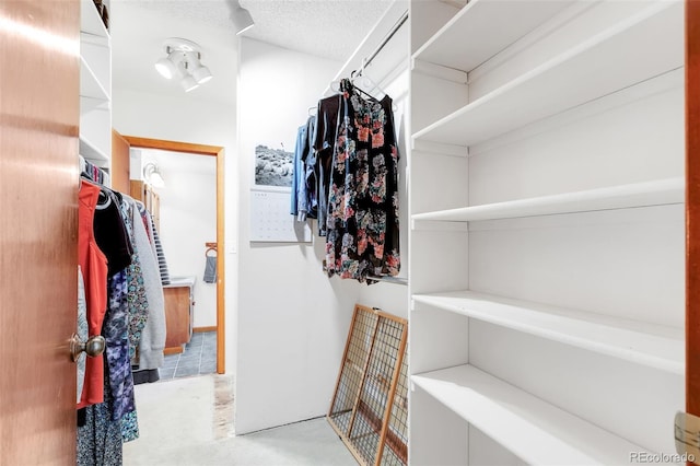 60 Jackson, Alma, CO 80420 - view of spacious closet