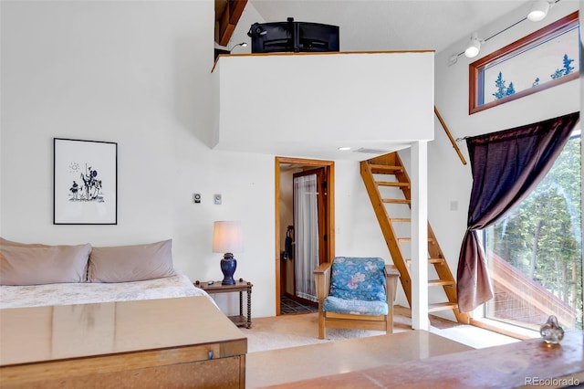 60 Jackson, Alma, CO 80420 - bedroom featuring a towering ceiling