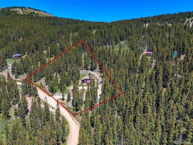 60 Jackson, Alma, CO 80420 - aerial view of property and surrounding area featuring property boundaries highlighted