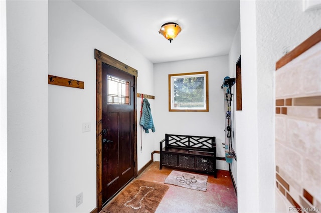 60 Jackson, Alma, CO 80420 - view of entrance foyer
