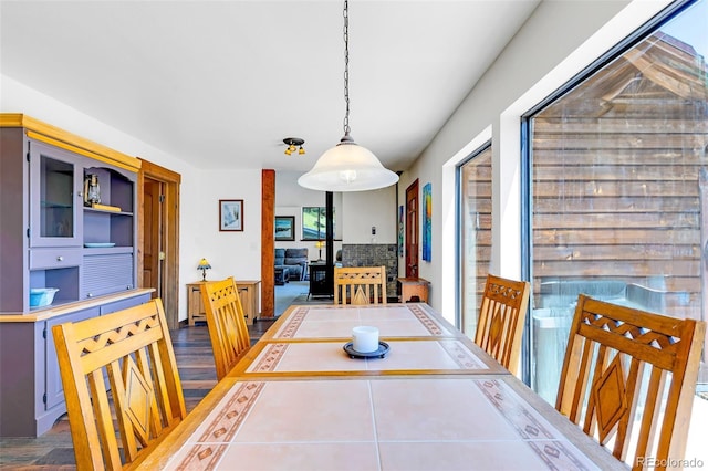 60 Jackson, Alma, CO 80420 - dining space featuring dark wood-style floors