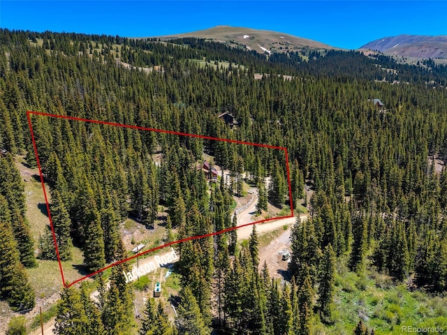 60 Jackson, Alma, CO 80420 - aerial view of property's location with mountains and property boundaries highlighted
