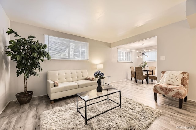 living room with a chandelier, a wealth of natural light, and hardwood / wood-style floors