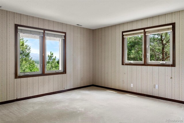 4520 Star Ranch Rd, Colorado Springs, CO 80906 - photo 22