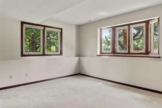 4520 Star Ranch Rd, Colorado Springs, CO 80906 - photo 23