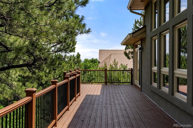 4520 Star Ranch Rd, Colorado Springs, CO 80906 - photo 27