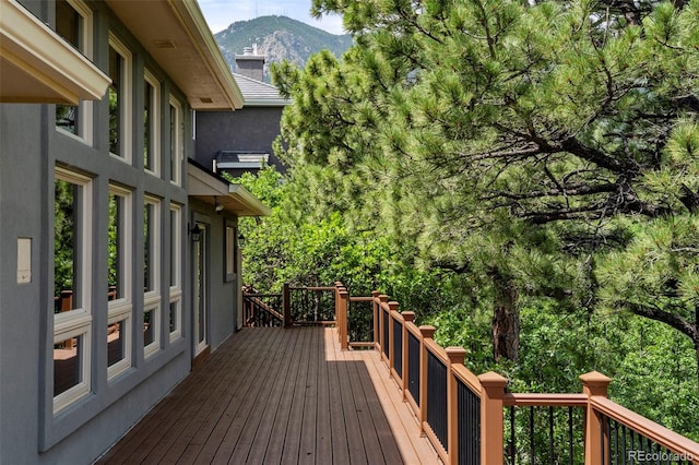 4520 Star Ranch Rd, Colorado Springs, CO 80906 - photo 28