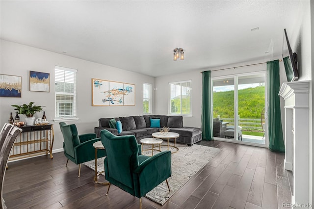 living room featuring dark hardwood / wood-style floors