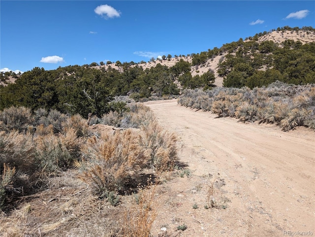 view of local wilderness