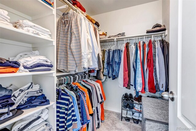 walk in closet with carpet floors