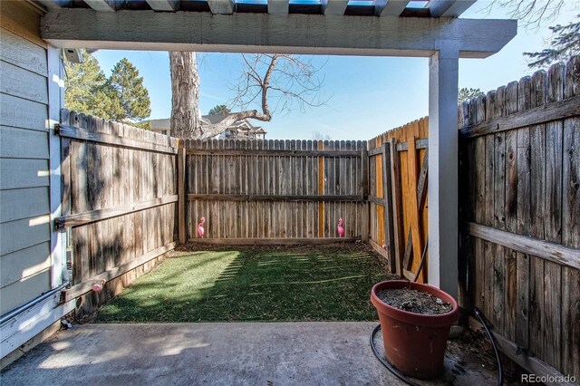 view of yard with a fenced backyard and a patio