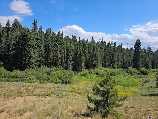 1164 Arapahoe Creek Trl, Florissant, CO 80816 - photo 1