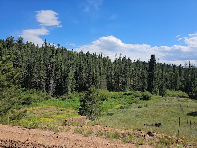1164 Arapahoe Creek Trl, Florissant, CO 80816 - photo 2