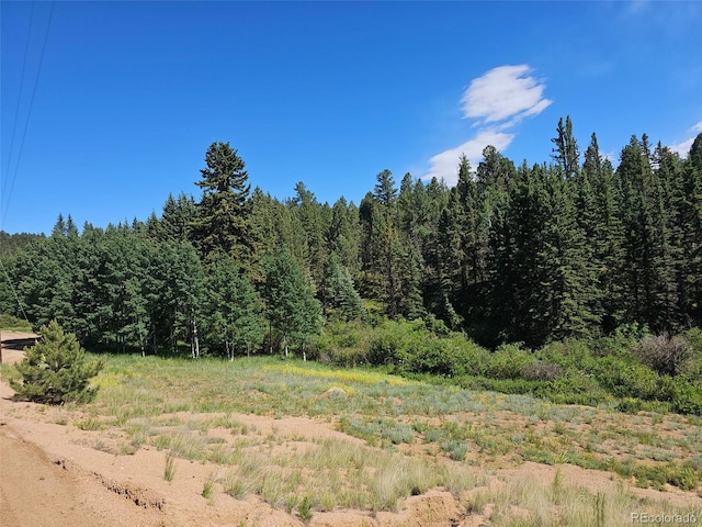 1164 Arapahoe Creek Trl, Florissant, CO 80816 - photo 3