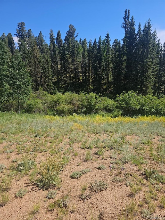 1164 Arapahoe Creek Trl, Florissant, CO 80816 - photo 4