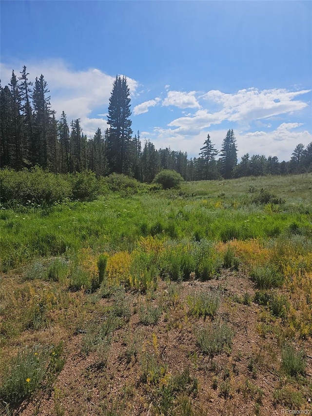 1164 Arapahoe Creek Trl, Florissant, CO 80816 - photo 5