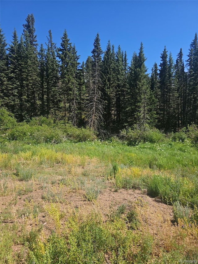 1164 Arapahoe Creek Trl, Florissant, CO 80816 - photo 6