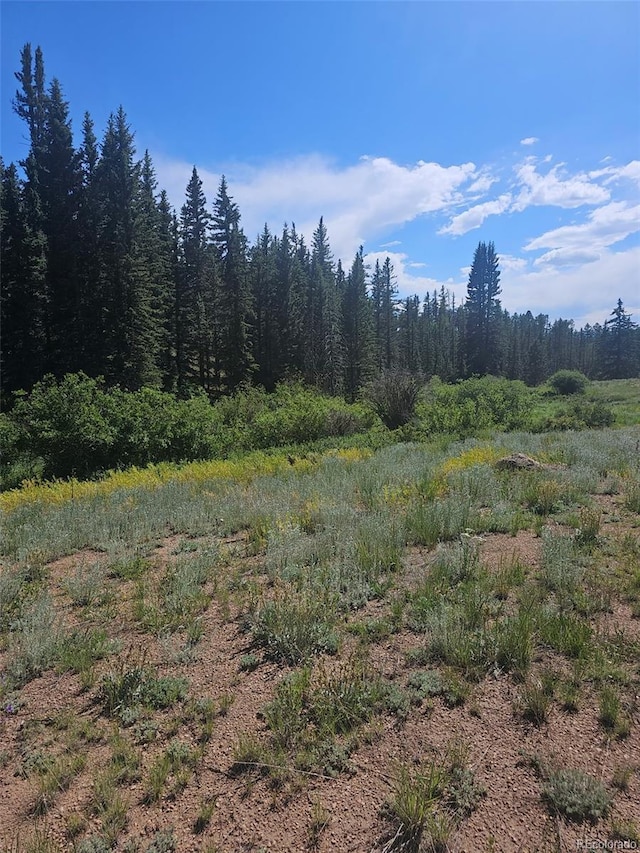 1164 Arapahoe Creek Trl, Florissant, CO 80816 - photo 7
