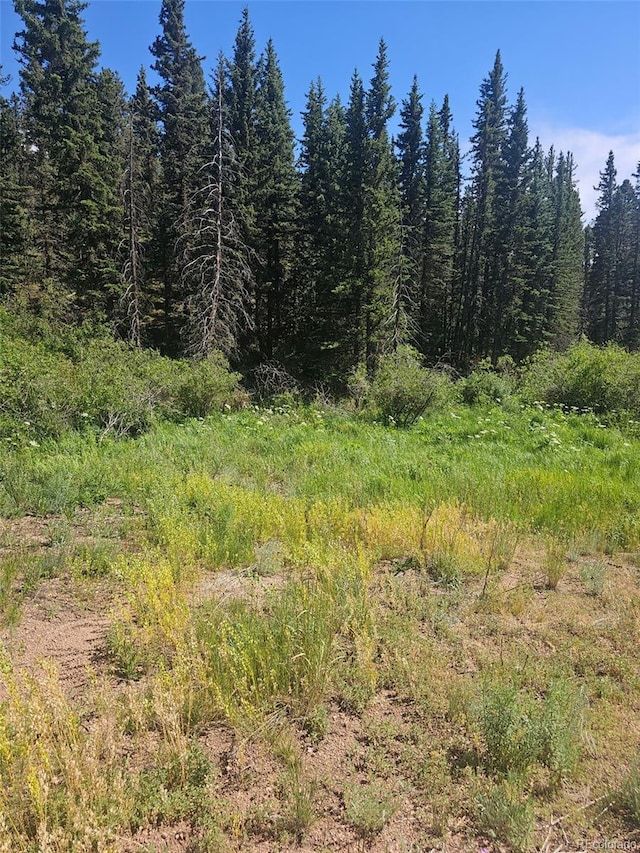 1164 Arapahoe Creek Trl, Florissant, CO 80816 - photo 8