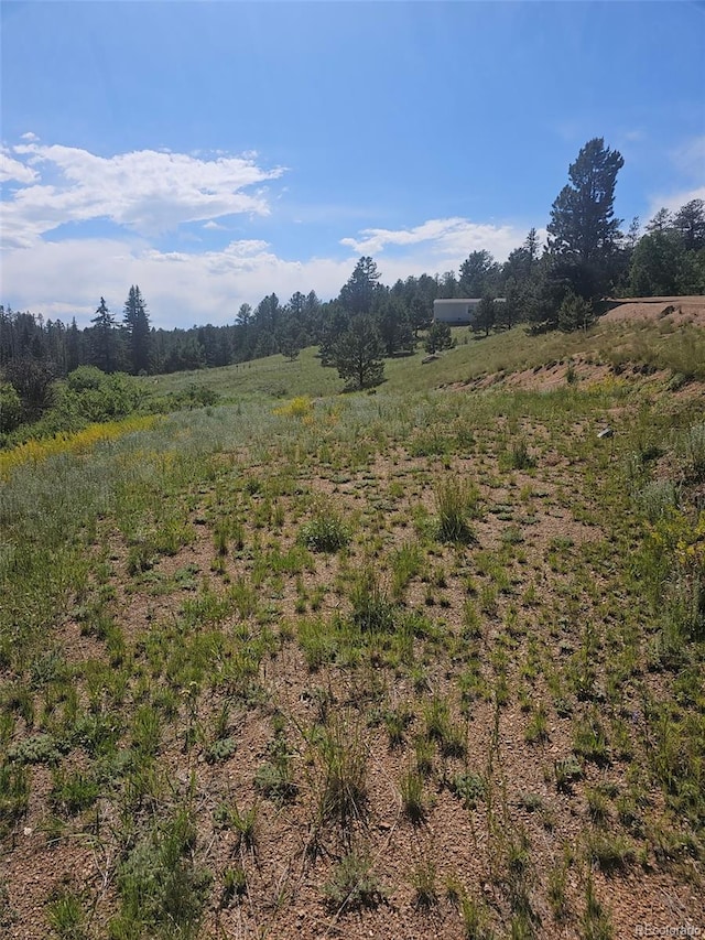 1164 Arapahoe Creek Trl, Florissant, CO 80816 - photo 9