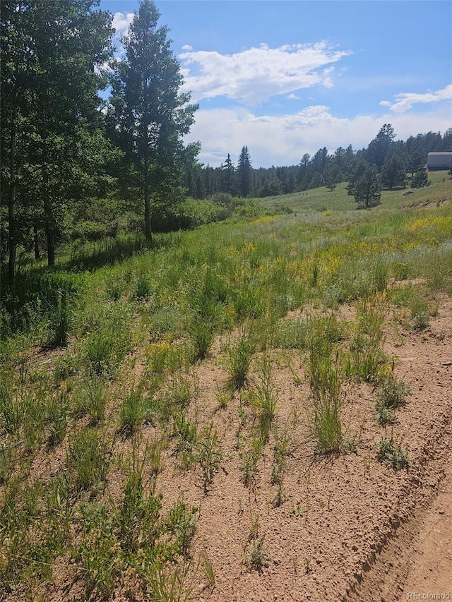1164 Arapahoe Creek Trl, Florissant, CO 80816 - photo 10