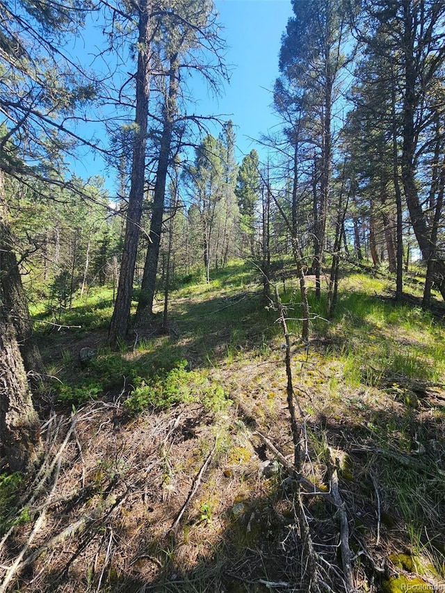 1164 Arapahoe Creek Trl, Florissant, CO 80816 - photo 12