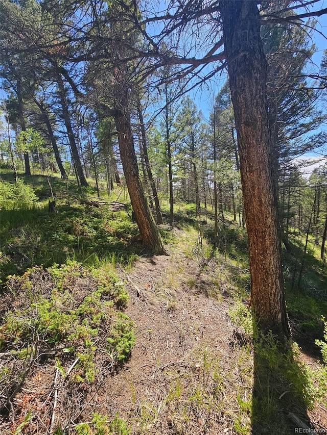 1164 Arapahoe Creek Trl, Florissant, CO 80816 - photo 13