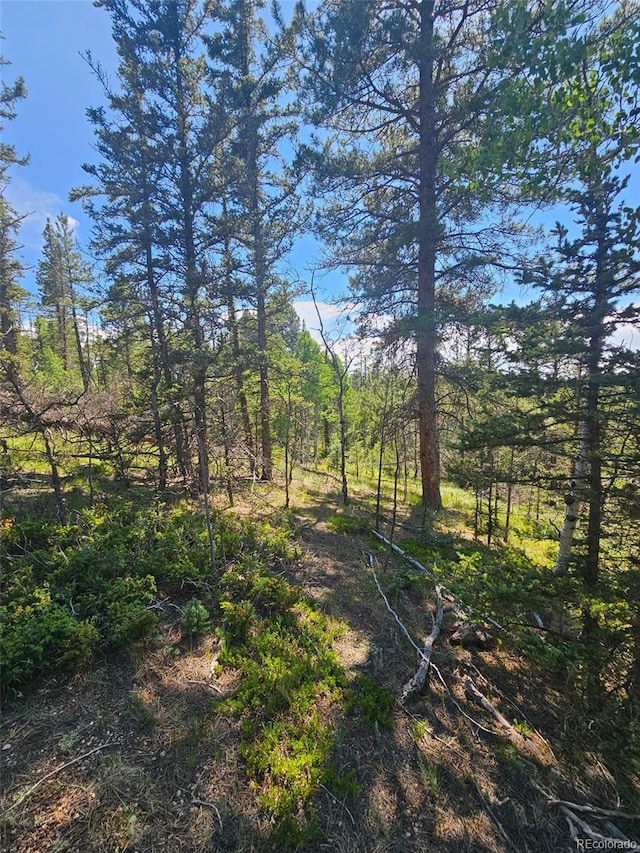 1164 Arapahoe Creek Trl, Florissant, CO 80816 - photo 14