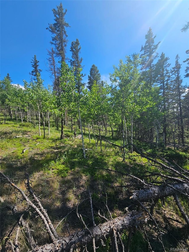 1164 Arapahoe Creek Trl, Florissant, CO 80816 - photo 15