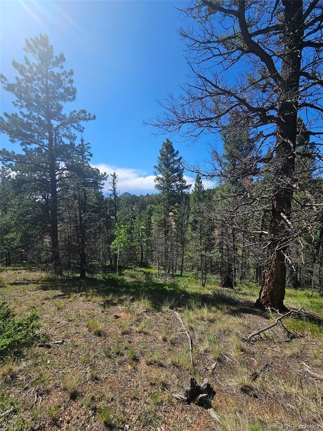 1164 Arapahoe Creek Trl, Florissant, CO 80816 - photo 16