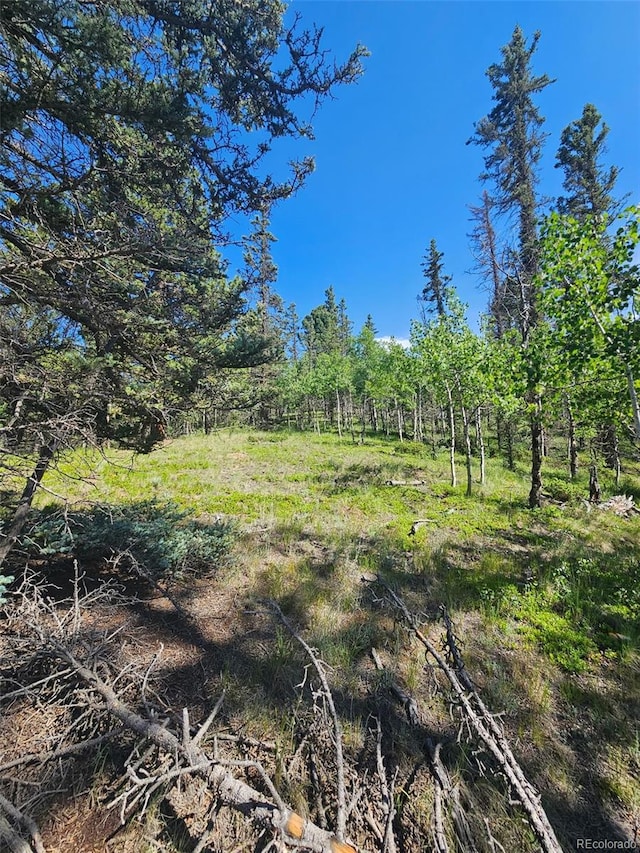 1164 Arapahoe Creek Trl, Florissant, CO 80816 - photo 17