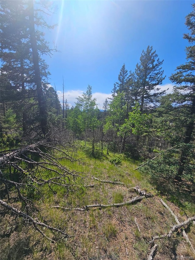 1164 Arapahoe Creek Trl, Florissant, CO 80816 - photo 19