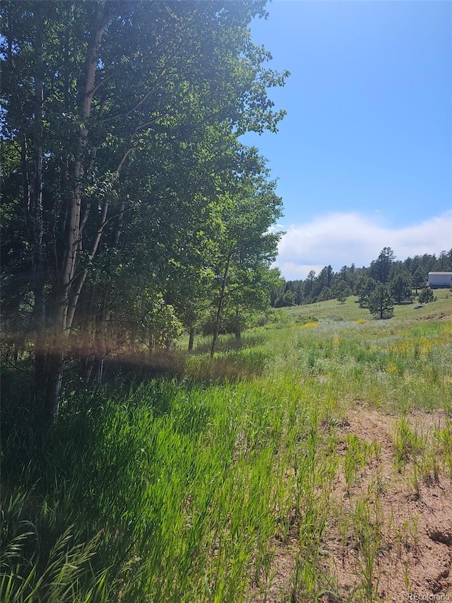 1164 Arapahoe Creek Trl, Florissant, CO 80816 - photo 20
