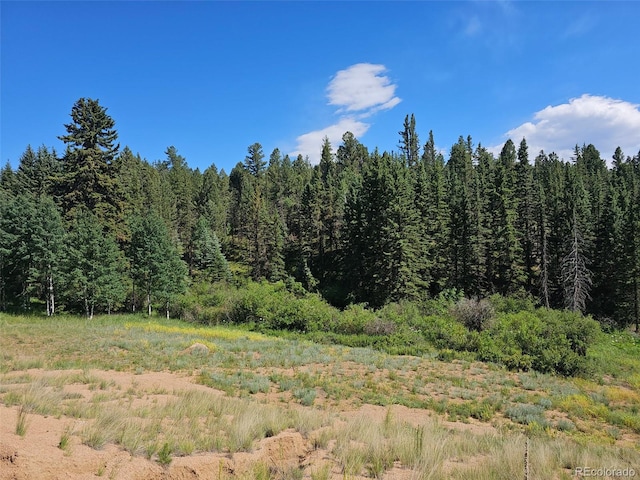 1164 Arapahoe Creek Trl, Florissant, CO 80816 - photo 22