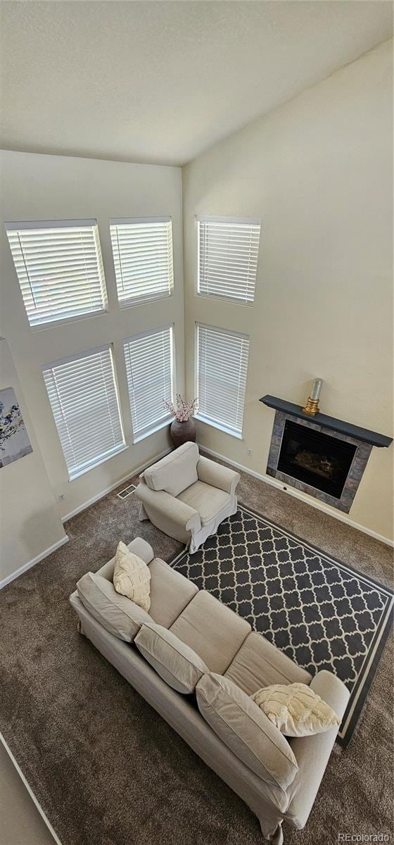 12388 Jasmine St, Brighton, CO 80602 - living room with carpet flooring and a fireplace