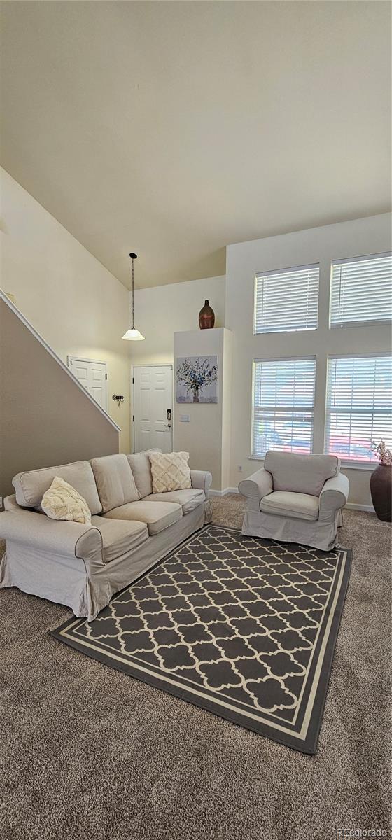 12388 Jasmine St, Brighton, CO 80602 - view of carpeted living room