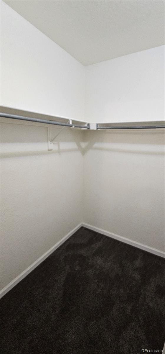 12388 Jasmine St, Brighton, CO 80602 - spacious closet with dark carpet