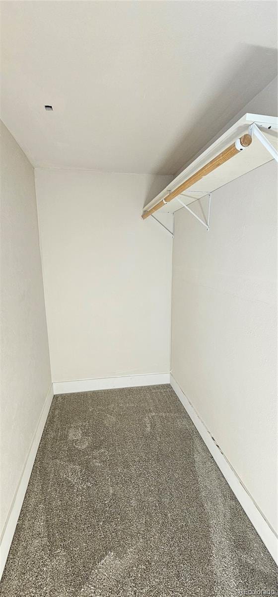 12388 Jasmine St, Brighton, CO 80602 - spacious closet featuring carpet