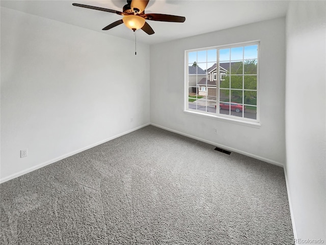 5521 Spruce Ave, Castle Rock, CO 80104 - photo 19