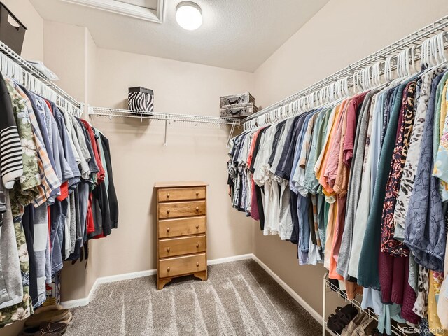 8522 S Dudley St, Littleton, CO 80128 - walk in closet with carpet floors and attic access