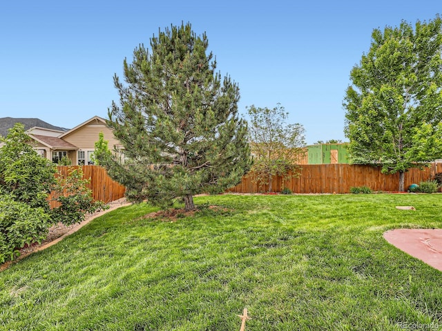 8522 S Dudley St, Littleton, CO 80128 - view of yard
