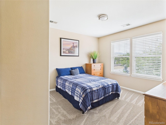 8522 S Dudley St, Littleton, CO 80128 - photo 29