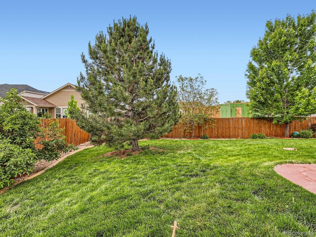 8522 S Dudley St, Littleton, CO 80128 - photo 38