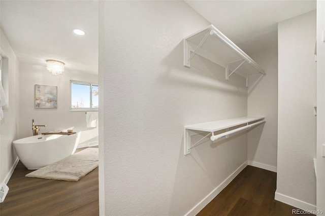 walk in closet with wood finished floors